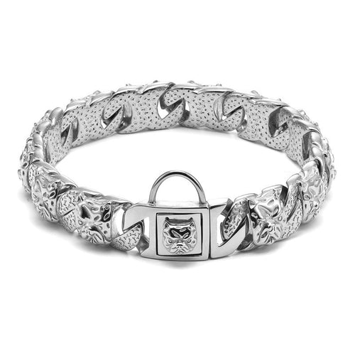 Collar de titanio perro