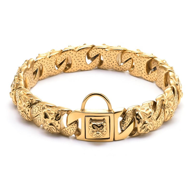 Collar de titanio perro